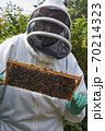 Beekeeper inspecting a frame of honey from hive 70214323