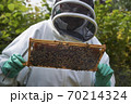 Beekeeper inspecting a frame of honey from hive 70214324