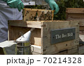 Beekeeper inspecting a frame of honey from hive 70214328