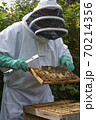 Beekeeper inspecting a frame of honey from hive 70214356
