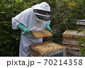 Beekeeper inspecting a frame of honey from hive 70214358