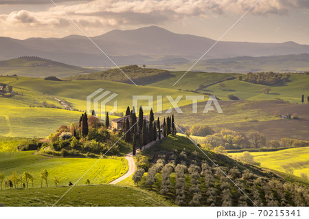 Tuscan countryside San Quirico Tuscan countryside San Quirico 70215341