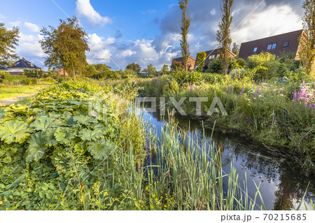 Ecological park with river in urban area 70215685