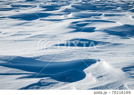 Snow texture on the field on a sunny day 70216199
