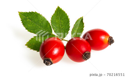 Rosehip red berries with green leaf isolated on white background. Rosehip red berries with green leaf isolated on white background. 70216551