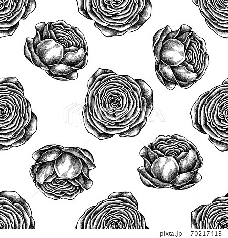 Seamless pattern with black and white ranunculus 70217413