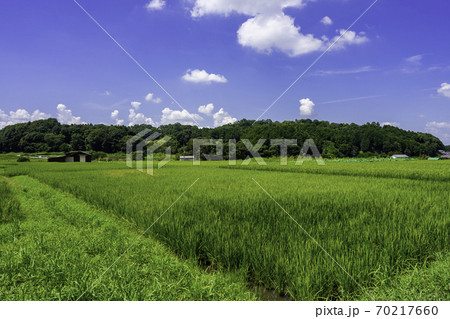 甘樫丘　奈良県明日香村 70217660