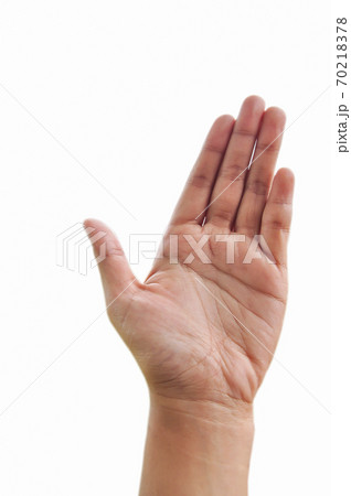 Women, Human Hand, Cut Out, White Background, Females 70218378