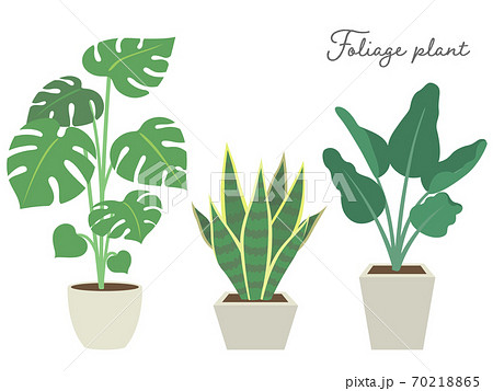 シンプルな観葉植物 インテリア 植物のイラスト素材