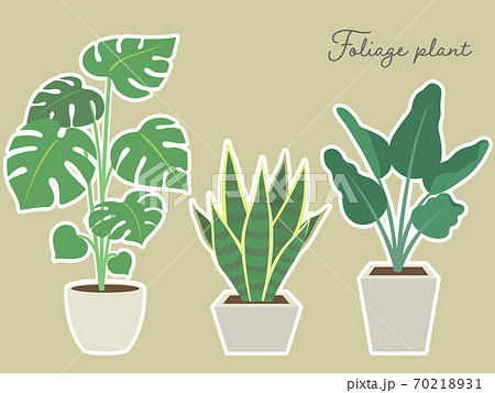 シンプルな観葉植物 インテリア 植物 白フチのイラスト素材