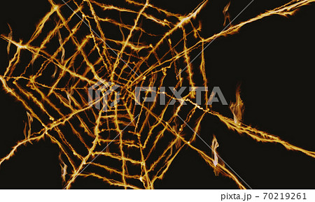 燃える蜘蛛の巣のイラスト素材