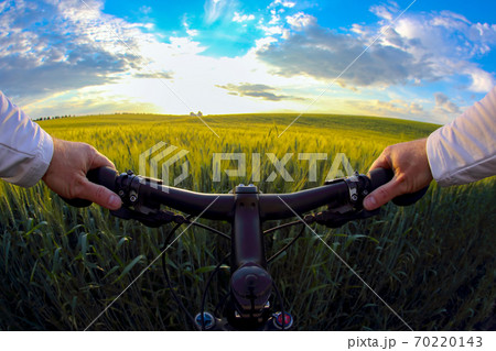 the wheel of the cyclist closeup against the background of a wheat field in sunlight the wheel of the cyclist closeup against the background of a wheat field in sunlight 70220143