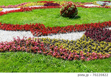 Flowerbed with different colorful flowers on city street Flowerbed with different colorful flowers on city street 70220822