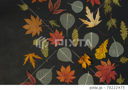 Autumn composition from leaves on a black background. Pattern of dried leaves of different colors on a black background. Flat lay, top view. 70222475