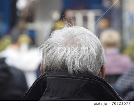 Back view of the man with a gray hair head Back view of the man with a gray hair head 70223077