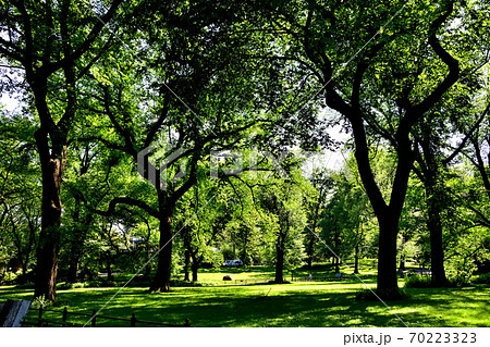 ニューヨークセントラルパーク 70223323