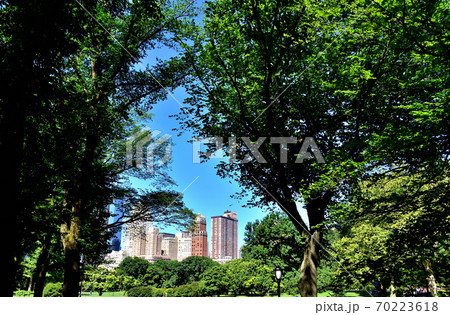 セントラルパークから眺めるマンハッタンビル風景 70223618