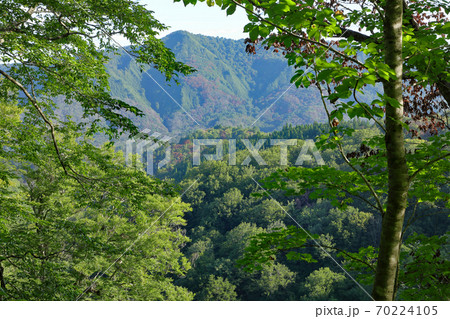 初秋のブナの森と山並み－癒しの森から　福島県只見町 70224105