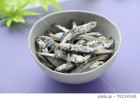 煮干し 煮干し 70224588