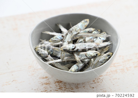 煮干し 煮干し 70224592