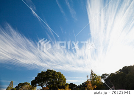 秋の青空と白い雲 秋の青空と白い雲 70225941