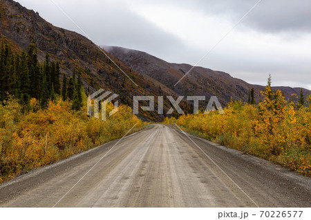 Scenic Road in Yukon, Canada 70226577