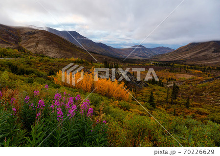 Canadian Nature Landscape in Yukon Canadian Nature Landscape in Yukon 70226629