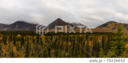 Canadian Nature Landscape in Yukon 70226630