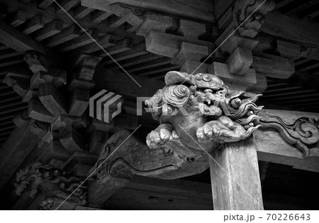 社寺彫刻の獅子 社寺彫刻の獅子 70226643