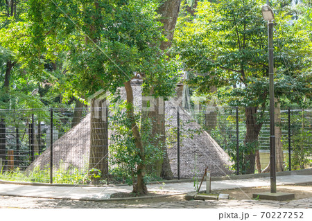 東京都　代々木八幡宮　境内の代々木八幡遺跡（縄文時代住居跡）  70227252