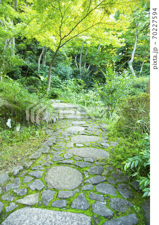 根津美術館 日本庭園 石畳の道 根津美術館 日本庭園 石畳の道 70227594
