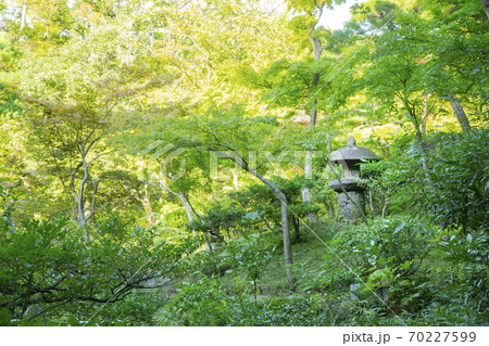 根津美術館 日本庭園 根津美術館 日本庭園 70227599
