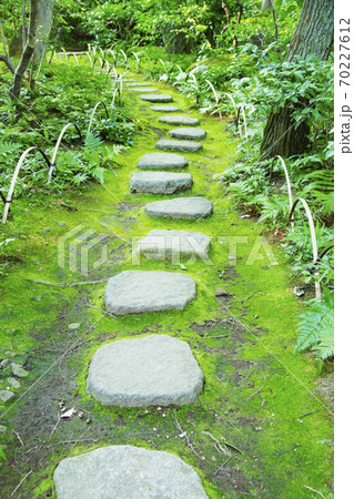 根津美術館 日本庭園 飛び石の写真素材