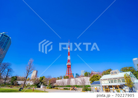 芝公園から見た東京タワー 【東京都】 芝公園から見た東京タワー 【東京都】 70227905