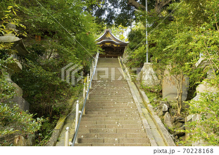 千葉県香取市佐原　諏訪神社　本殿と石段 70228168