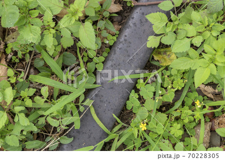 廃線イメージ 70228305