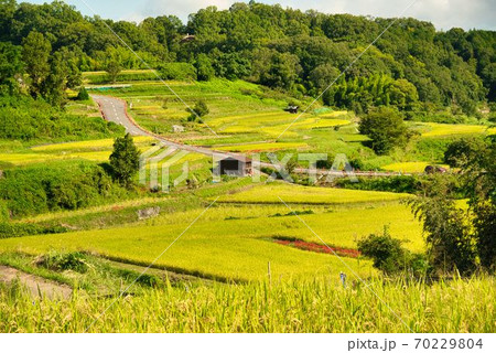 明日香村稲渕地区の秋 明日香村稲渕地区の秋 70229804