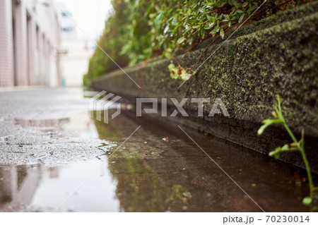 雨の歩道 地面近く ローアングルの写真素材