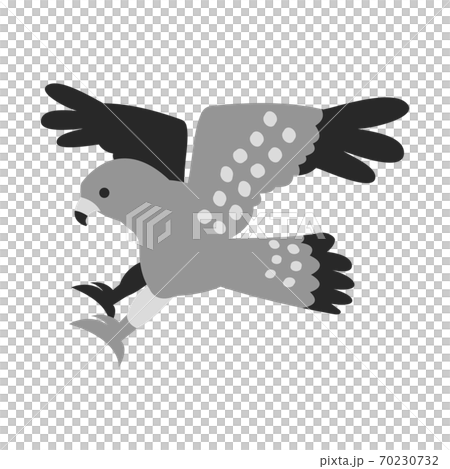 鷹　イラスト素材 70230732