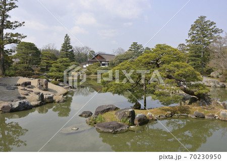 桂離宮　池泉回遊式庭園 70230950