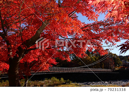 真っ赤な紅葉と吊り橋　駒ケ根高原こまくさ橋 70231338