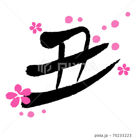 2021年 丑年の年賀状素材 筆文字 丑の文字と梅の花 手描き風の丑デザイン書道 2021年 丑年の年賀状素材 筆文字 丑の文字と梅の花 手描き風の丑デザイン書道 70233223