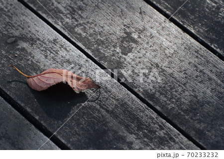 ウッドデッキと落ち葉 70233232