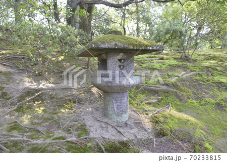 桂離宮 水螢の石灯籠 桂離宮 水螢の石灯籠 70233815