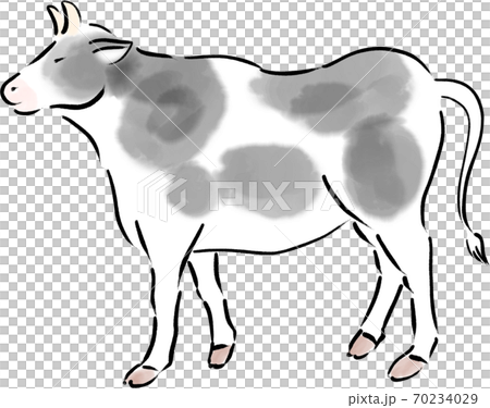 2021 New Year's card material for the year of the ox, male dairy cow, hand-painted cow Holstein 70234029