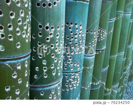 竹灯籠の準備の写真素材