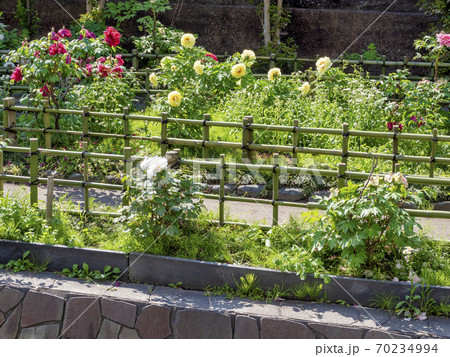 牡丹園(江東区) 70234994