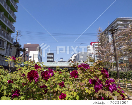 牡丹園(江東区) 70235004
