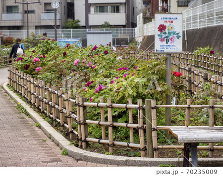 牡丹園・江東区 70235009