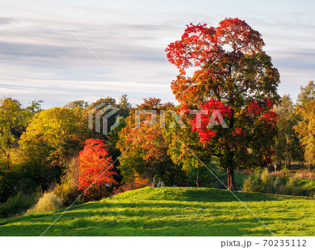 Beautiful autumn landscape with red trees in hill 70235112